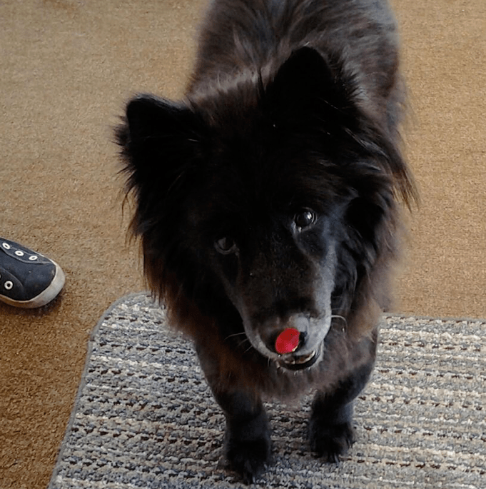 Screen Shot 2018-02-15 at 1.42.53 PM.png